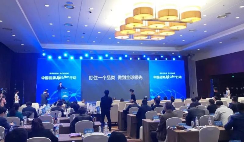 定了！美麗島進(jìn)了國家隊(duì)，新華社專訪